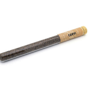 CARVI (précommande)